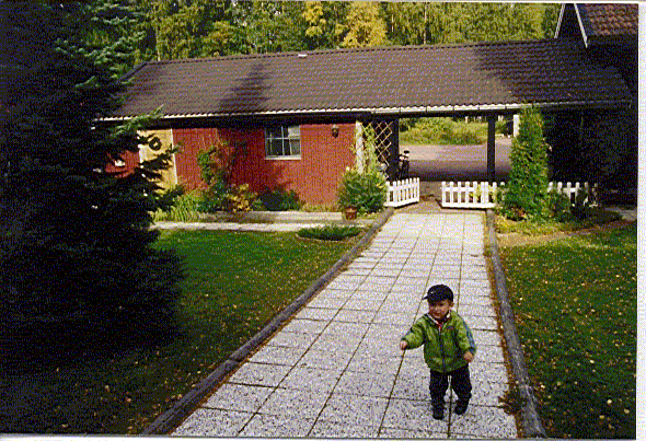 mot carport.gif (129244 bytes)