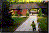 mot carport.gif (129244 bytes)